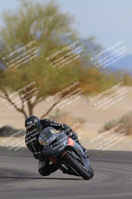 media/Nov-05-2022-SoCal Trackdays (Sat) [[f8d9b725ab]]/Turn 4 Tree of Life (125pm)/